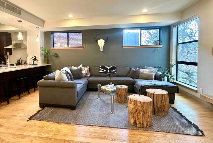 Modern 4 Story Home in LoHi with Penthouse Views gallery image 4