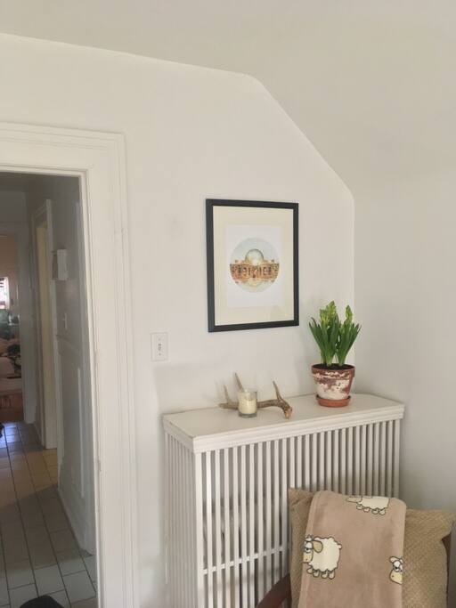 Cozy living room