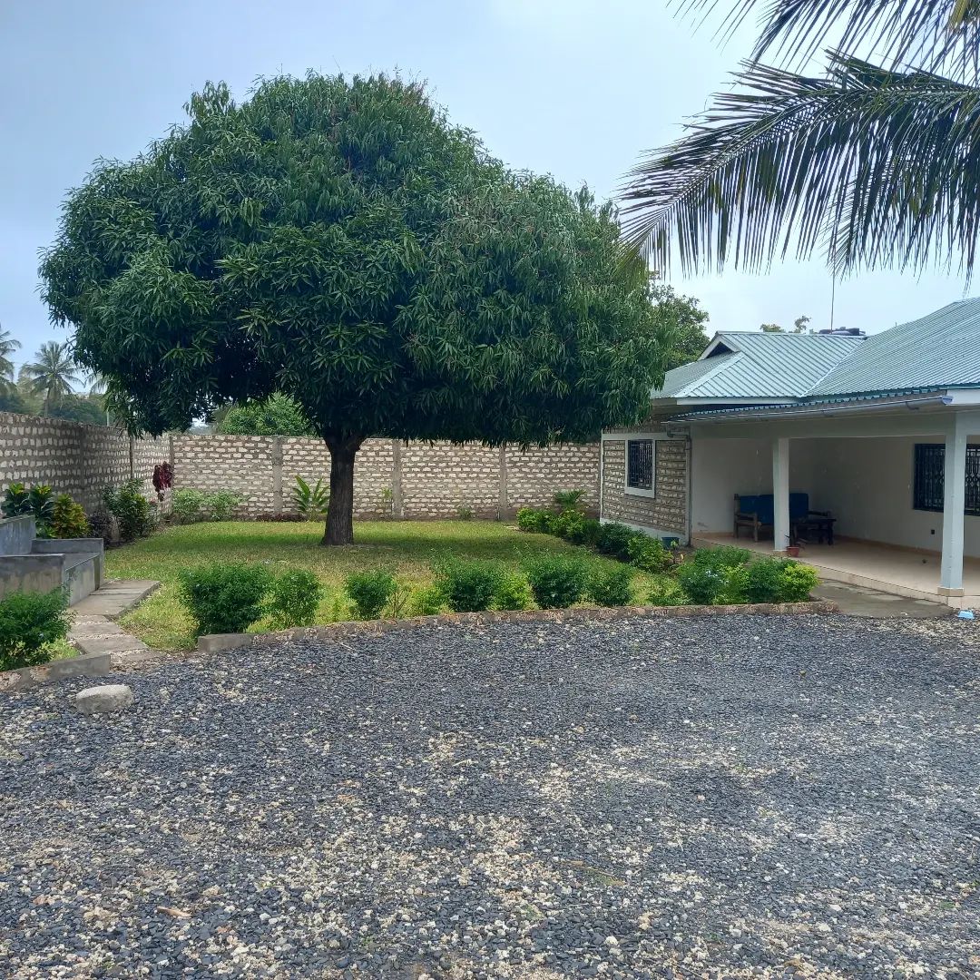 A spacious outdoor area features a large tree providing shade, surrounded by well-maintained grass and shrubs. The home, with a tiled roof, is partially visible, showcasing a patio area. A gravel pathway leads to the entrance, enhancing the natural setting.