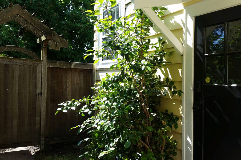 Separate entrance to the apartment with keyless lock
