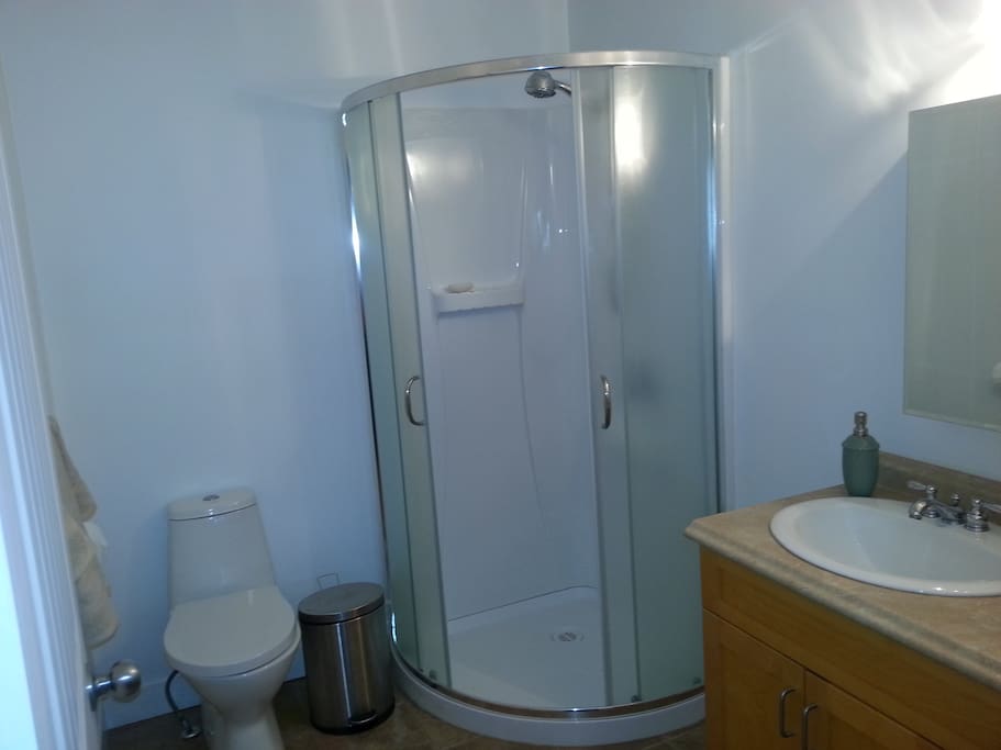 Private Bathroom with shower