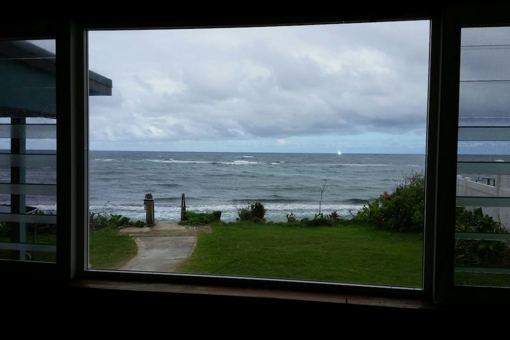 View from the kitchen window
