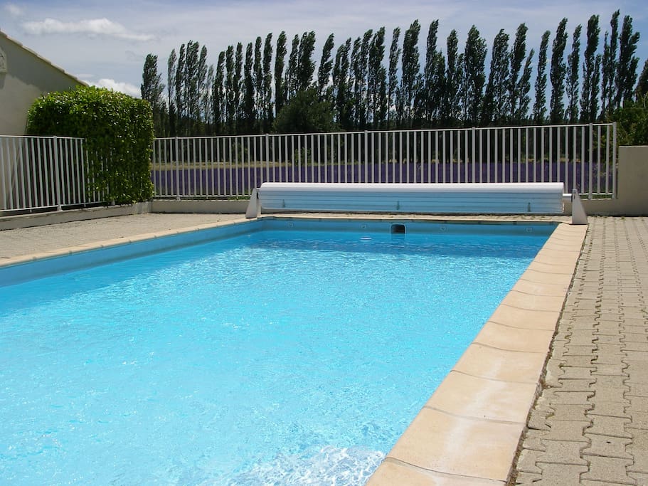 Piscine chauffée