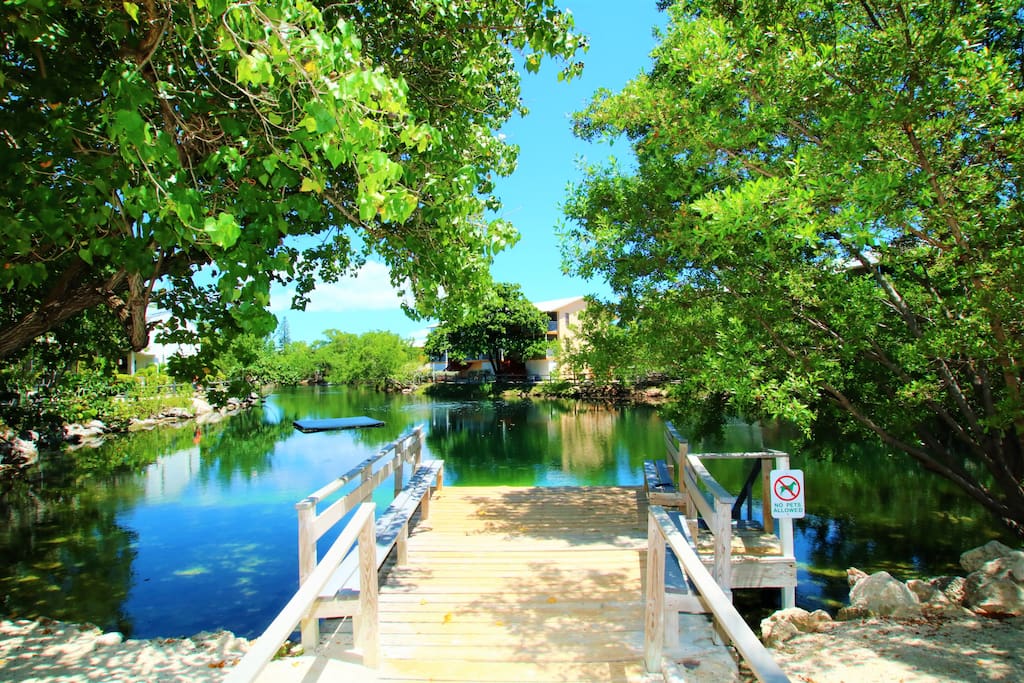 Dock over looking Lagoon