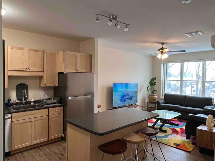 UVMC Lux Scandinavian Oasis Downtown Apartments for Rent