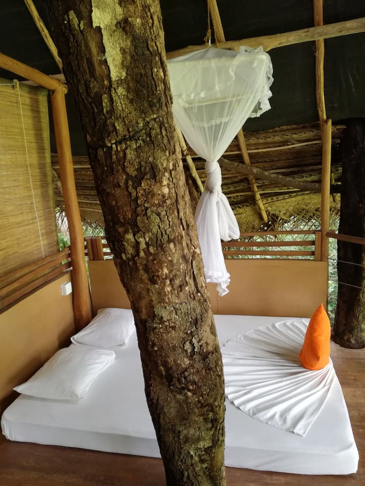 საძინებელი