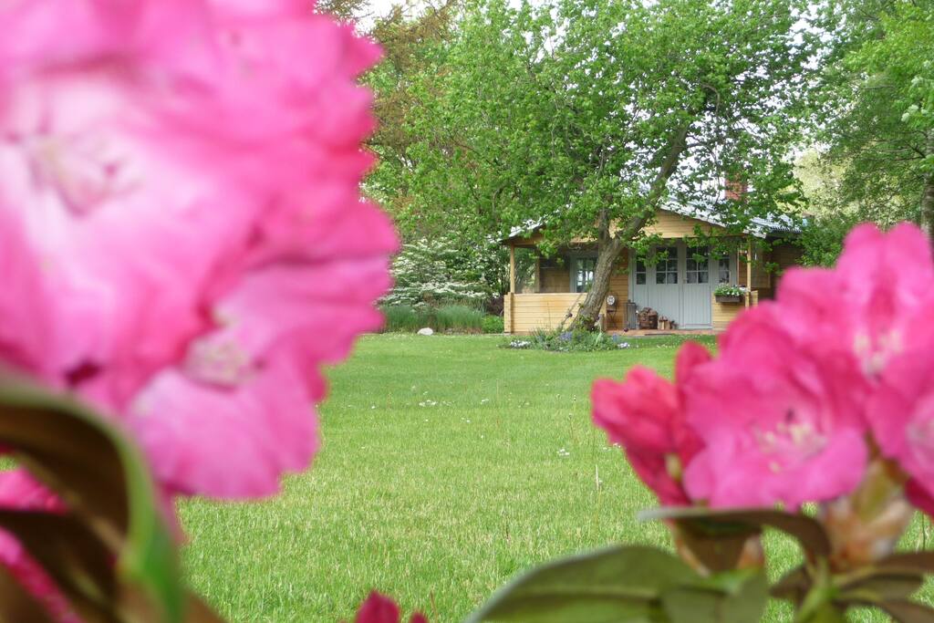 Ferienhäuschen mit Teich- und Gartenanlage
