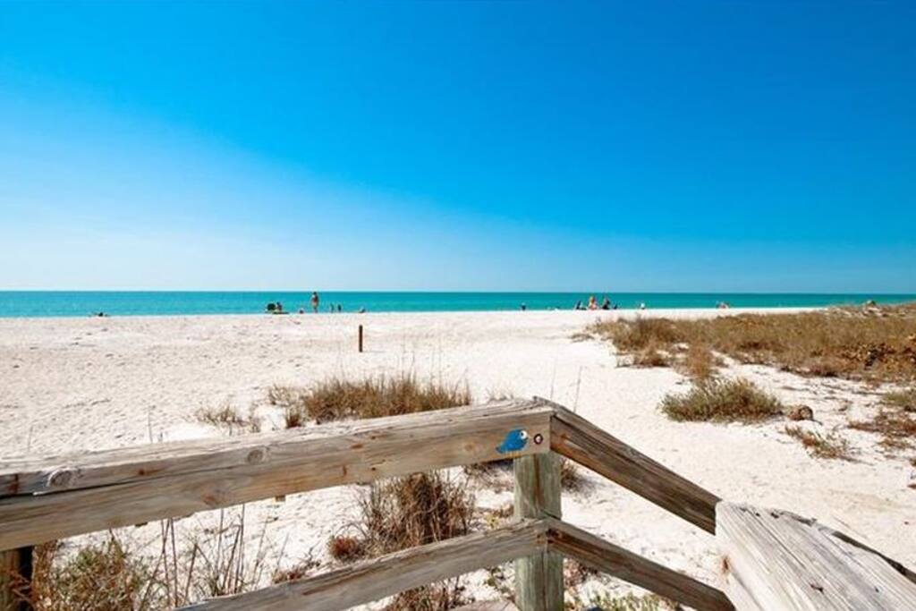 The Reason you want to be here!