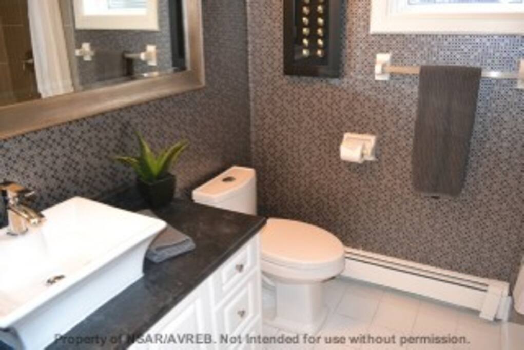 Guest bathroom.