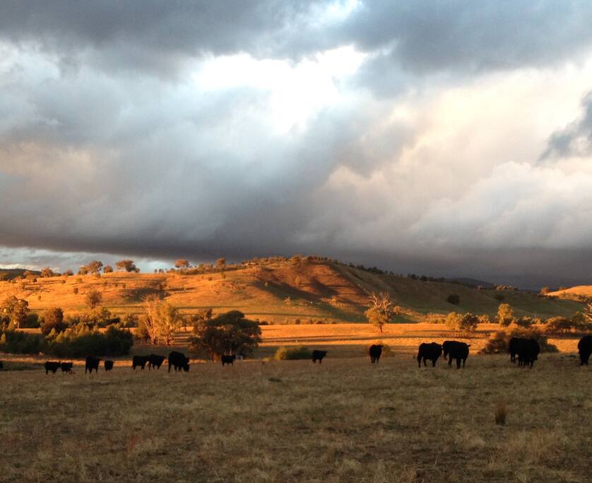 The back drop to the shearers quarters
