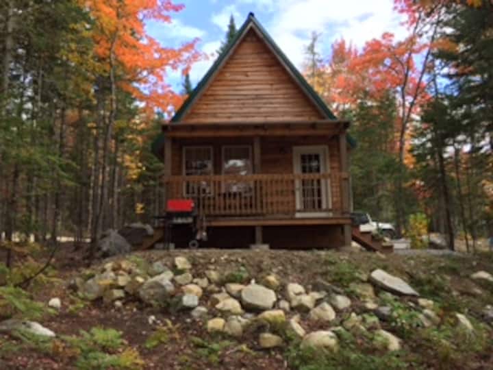 Knotty Moose Cabin 3 Cabins for Rent in Roxbury, Maine, United
