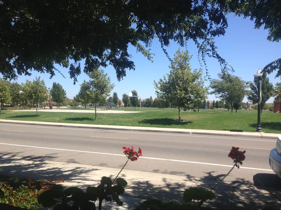 View from Patio of Park