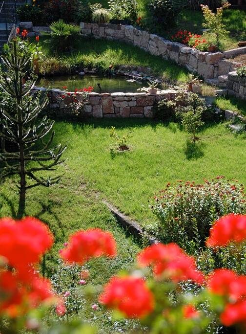 Giardino