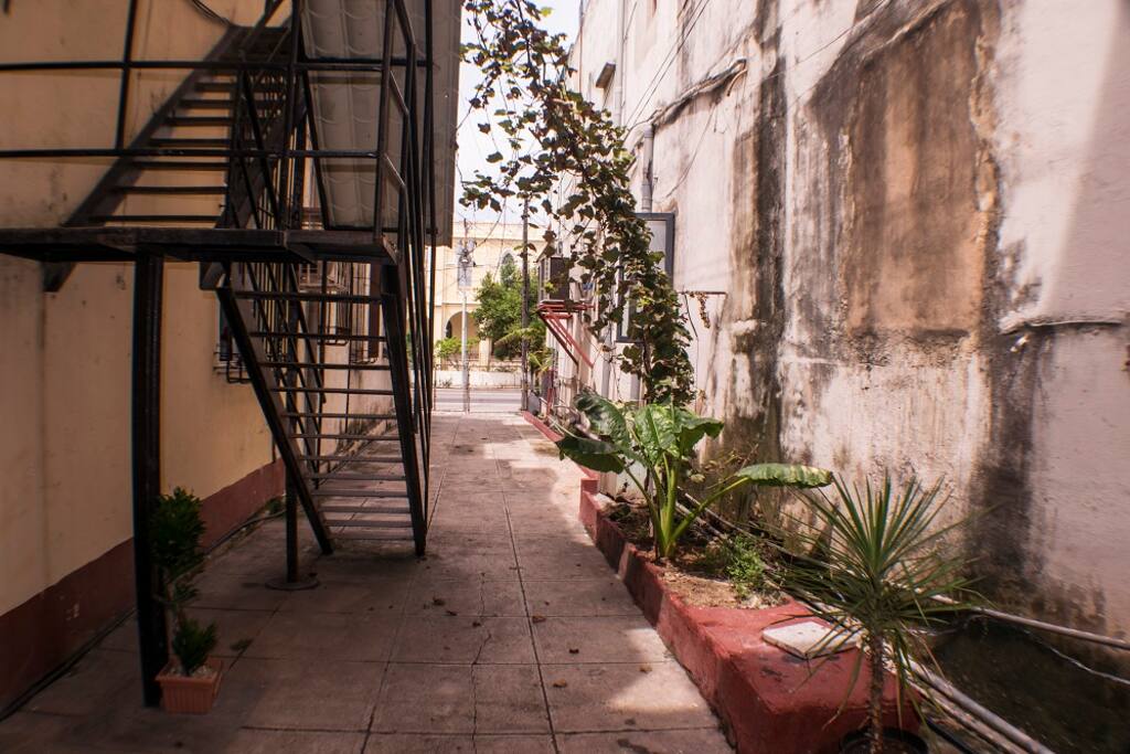 Una vista desde la puerta de la casa hacia el portón.