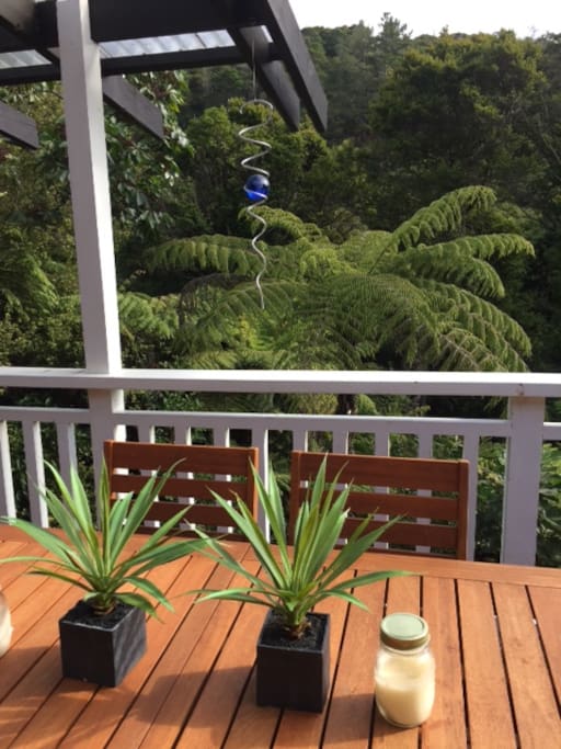 Beautiful native bush views from sunny and private rear deck