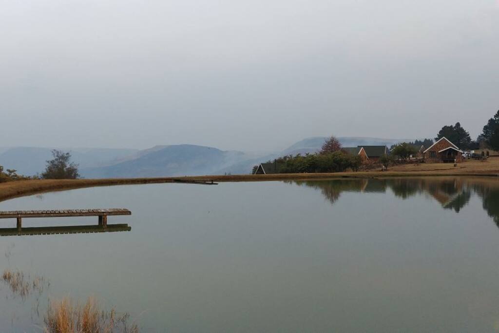 Fly-fishing dams