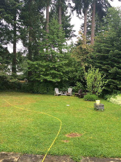 loungers in the backyard