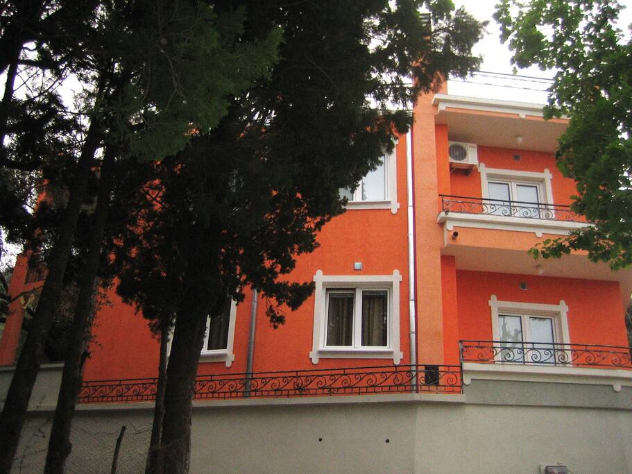 APPEARANCE OF THE HOUSE