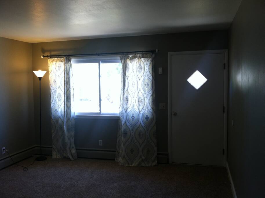 Freshly painted living room with new carpet. Couch and TV.