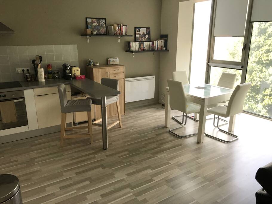 Le séjour coin cuisine / salle à manger