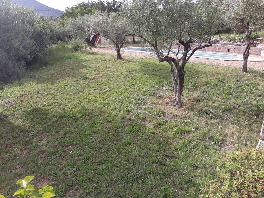 Jardin et espace de jeux.