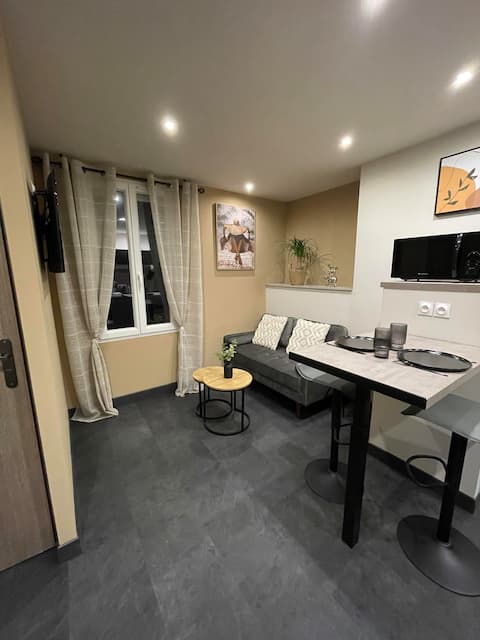 Annonce Airbnb populaire: The Exotic Balneo and secure parking. à Troyes