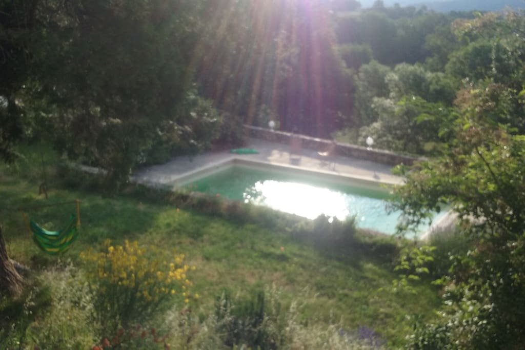 La piscine