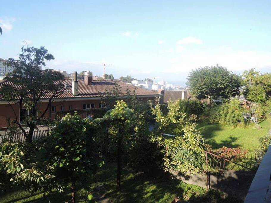 Vue depuis le balcon