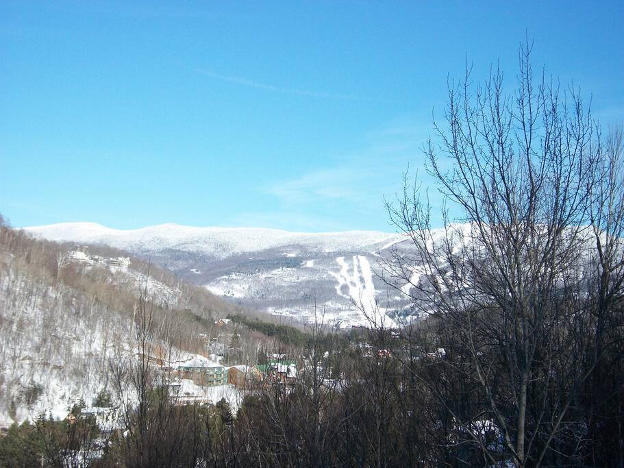 Vue du balcon