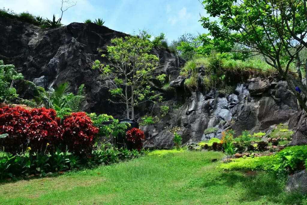garden view