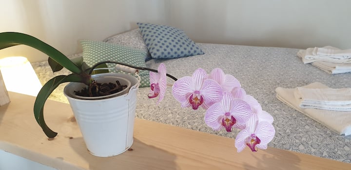 Maelezo ya kitanda maradufu