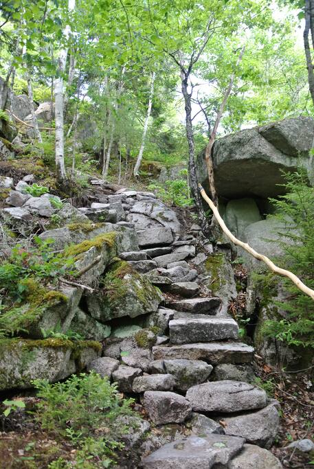 Our private path to the lake
