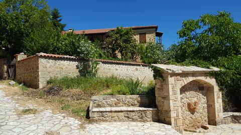 Fabulous stay in rustic Villa Platanus (est. 1840)