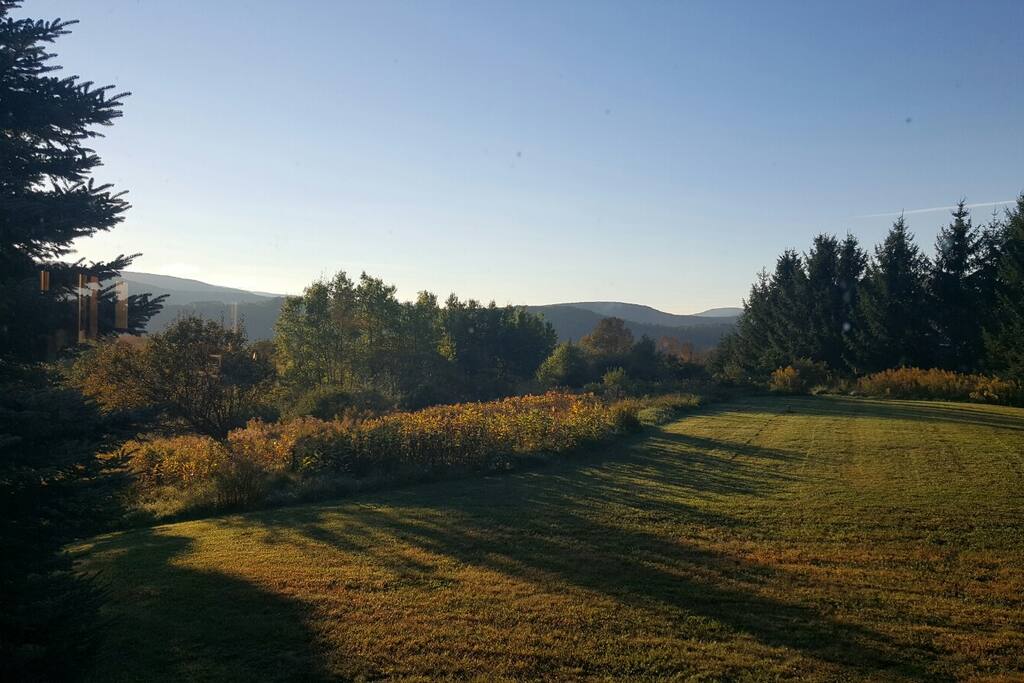 Our front yard!!
