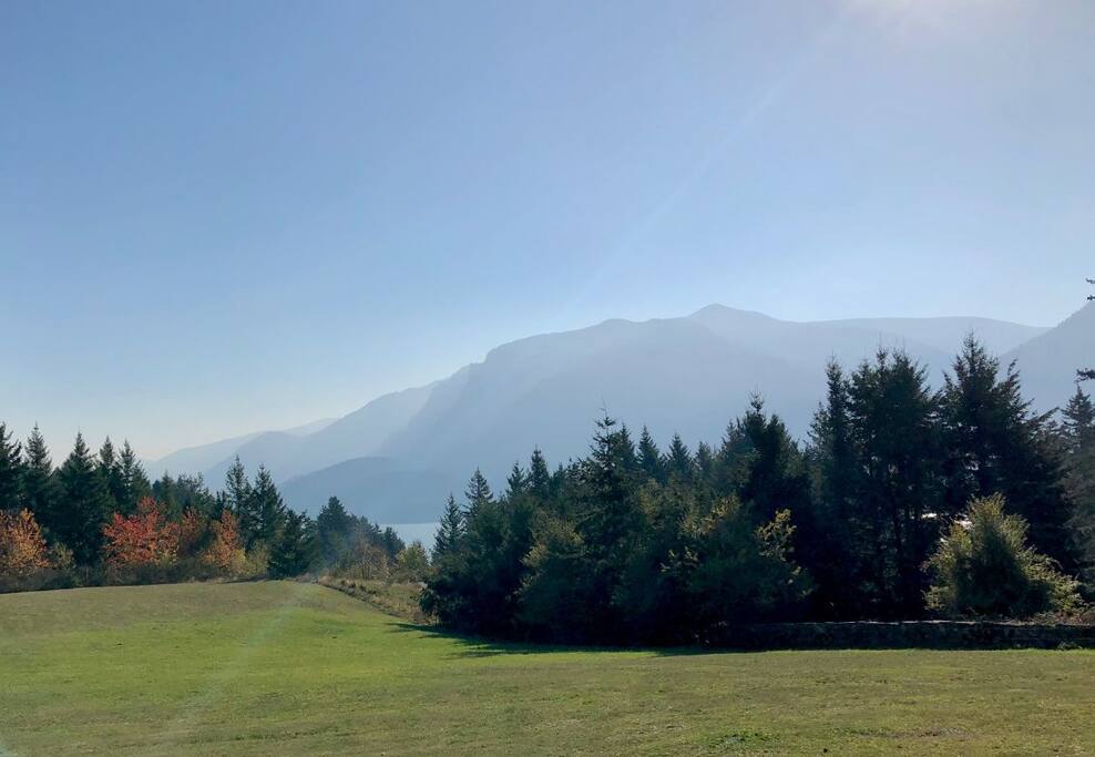 Early morning view