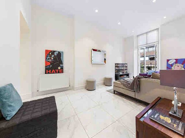 Harley Street Luxury Snug gallery image 4