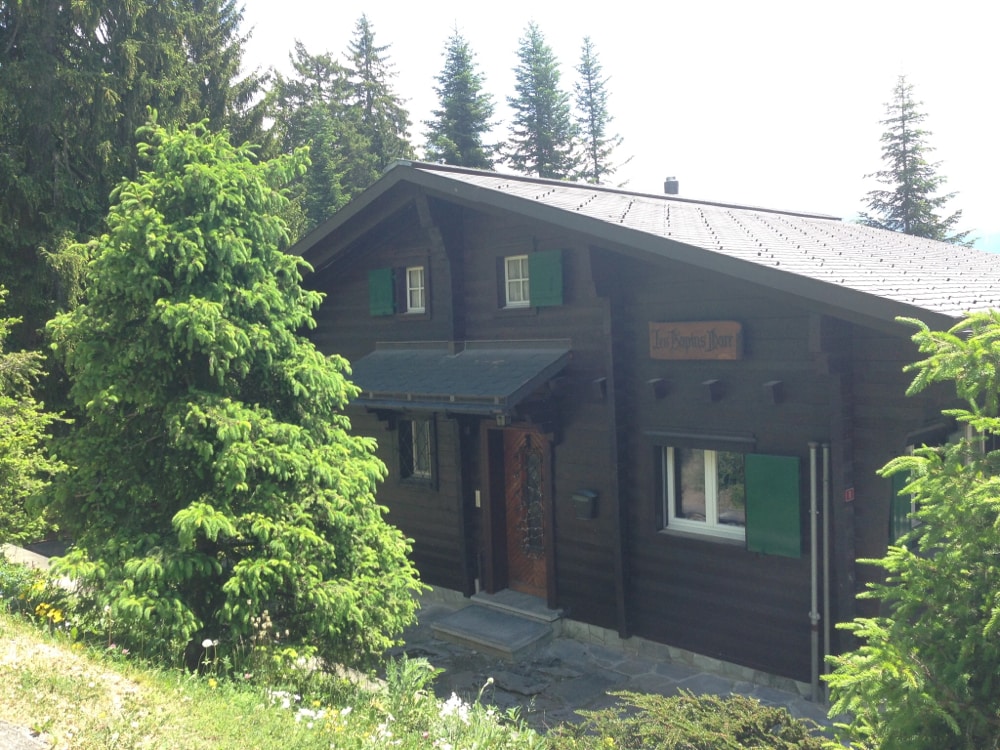 The charming chalet features dark wooden exterior with green shutters, surrounded by lush evergreen trees. A stone pathway leads to the inviting entrance, where the house displays a decorative sign above the door. Sunlight bathes the scene, highlighting the serene natural setting.