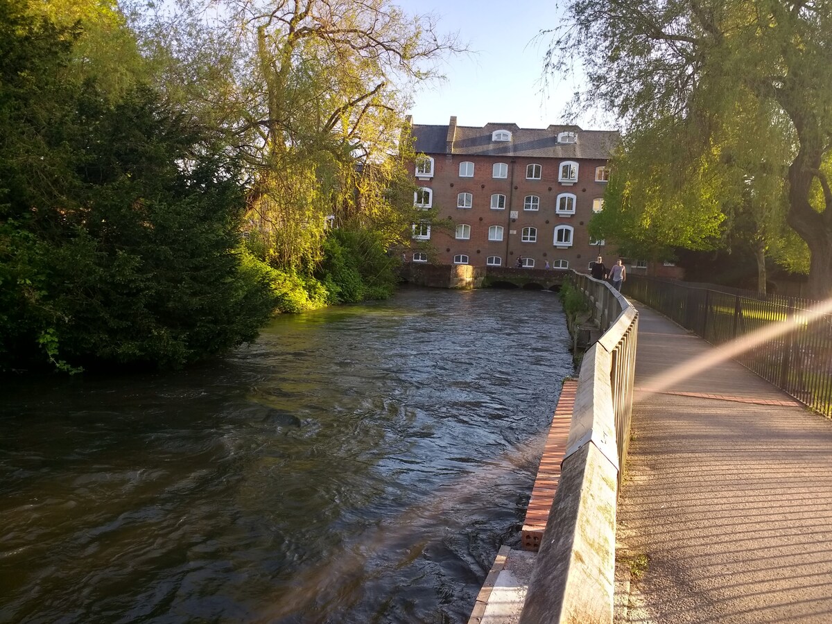 A tranquil river flows past a brick building, surrounded by lush greenery. A paved path runs along the riverbank, lined with trees, offering a peaceful setting for leisurely strolls.