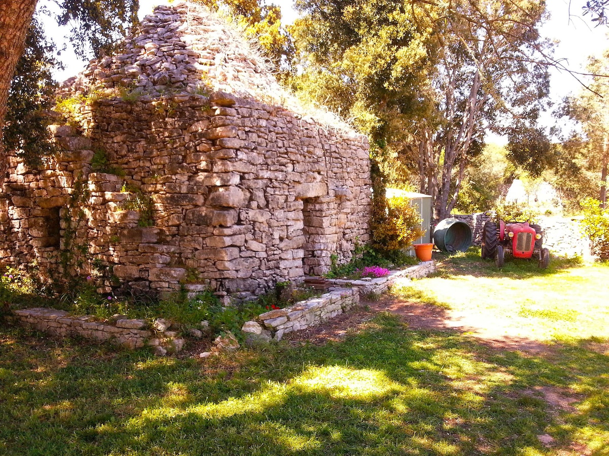 An ancient stone structure with weathered walls is surrounded by lush greenery and vibrant flowers. A red tractor sits nearby, adding a rustic element to the serene outdoor space. The area features soft grass and mature trees, enhancing the sense of tranquility.