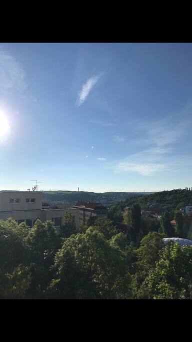 View from the balcony
