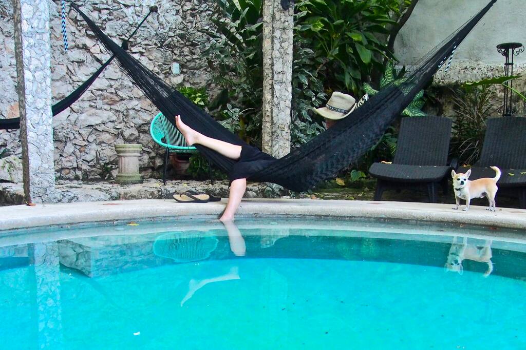 Hammock Time