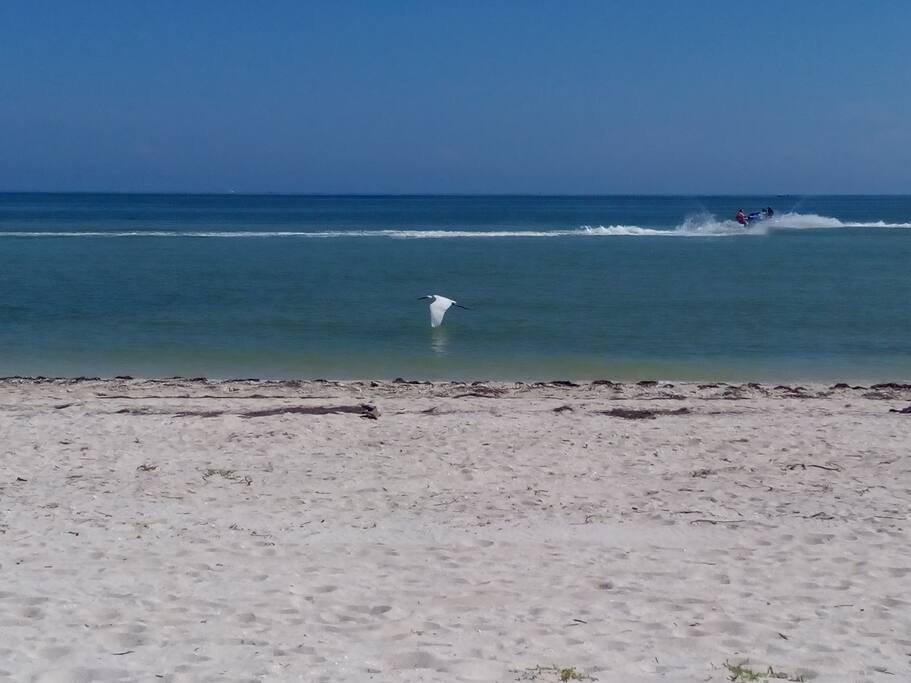 La playa