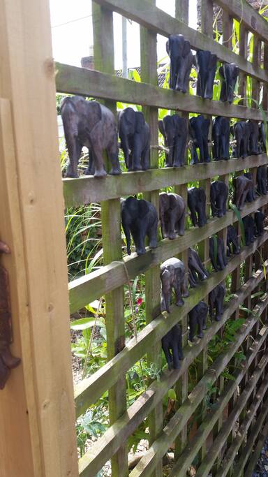 60 hand carved African elephants in The Hide fencing.