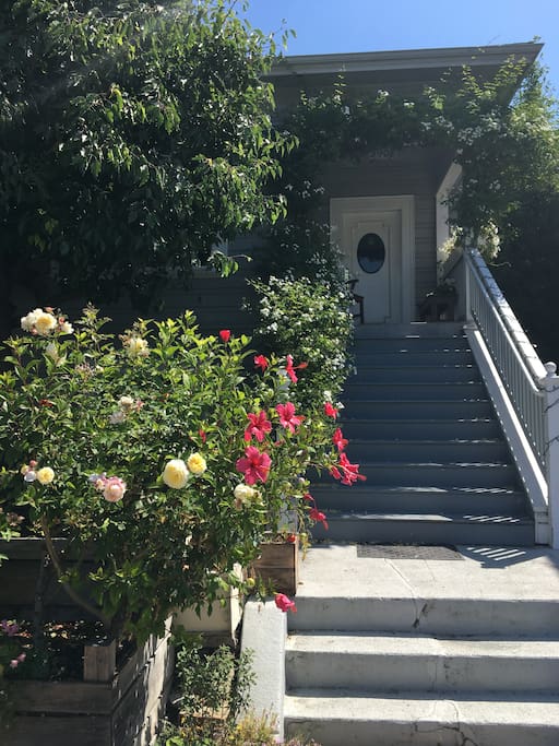 Airbnb Temescal Retreat.  5 minute walk to BART