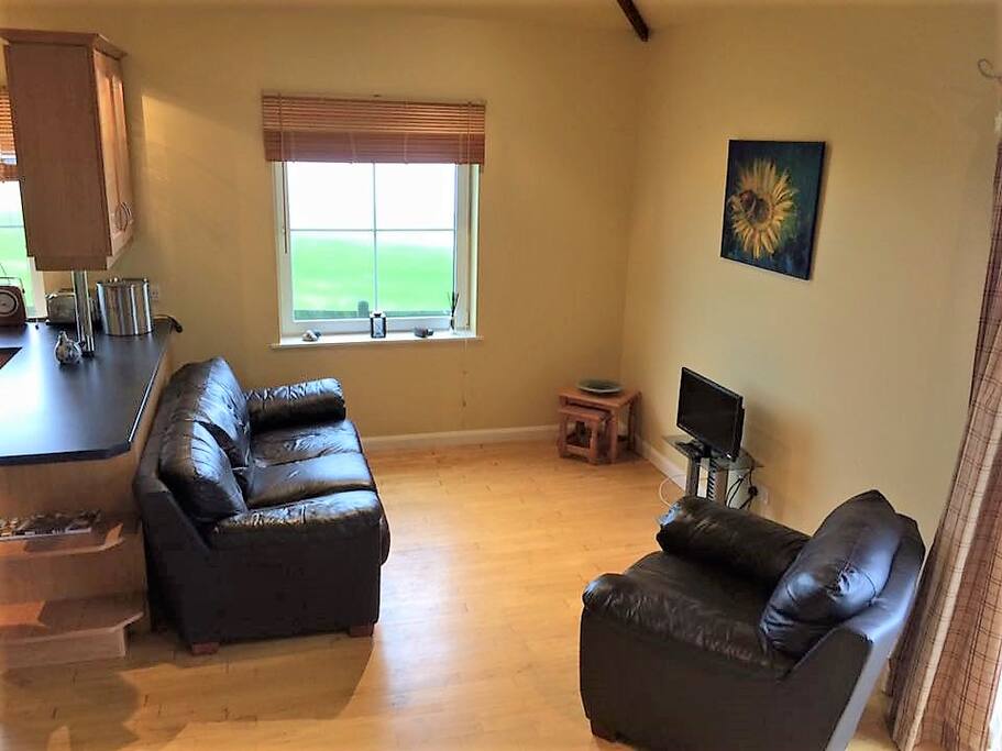 Living area with TV/DVD