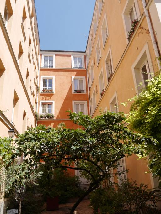 La cour depuis la porte-fenêtre