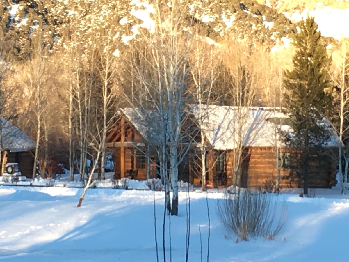 A spacious log cabin is nestled in a snowy landscape, framed by bare trees and distant mountains. The sunlight creates a warm glow on the cabin's exterior, highlighting its rustic charm and large windows. Snow covers the ground, adding to the serene winter atmosphere.