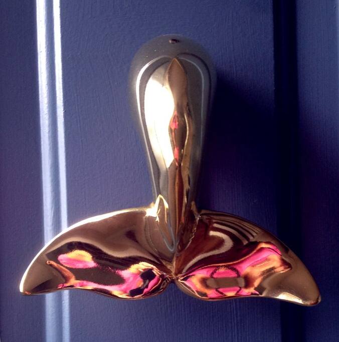 The Whale Tail