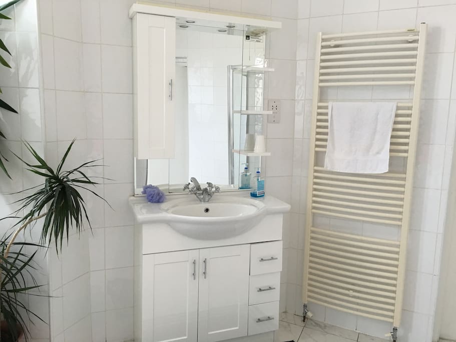 Our Shared Bathroom with Walk-in Shower.