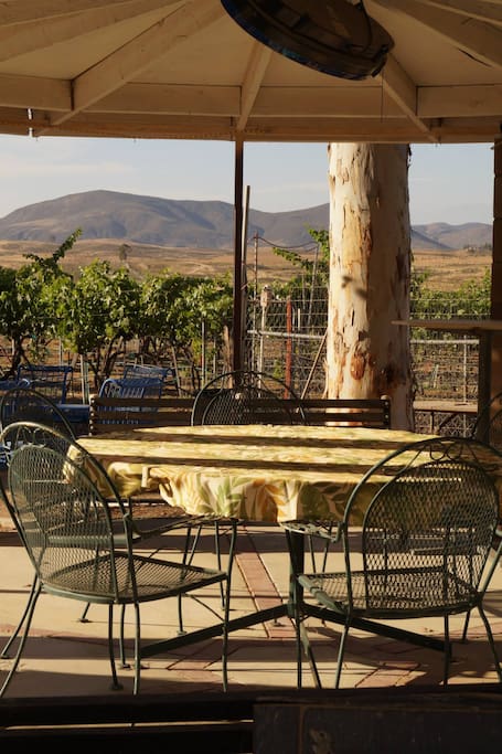 Views to the vineyards and mountains from gazebo; outside there is also a fire pit, tree house and spacious covered patio, perfect for small gatherings